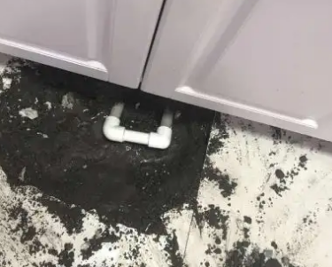 绿春查漏水哪家好