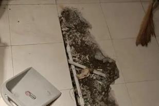 绿春卫生间漏水检测电话